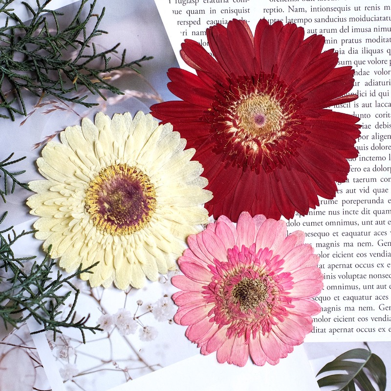 1 قطعة/7-9 سنتيمتر ، ضغط Gerbe - مراجعة Resin Art Sticker وسعره