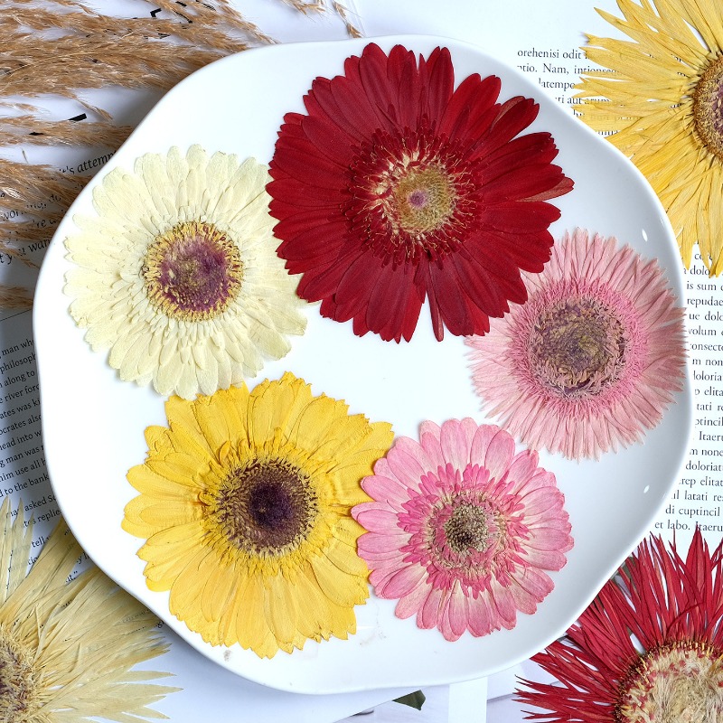 1 قطعة/7-9 سنتيمتر ، ضغط Gerbe - مراجعة Resin Art Sticker وسعره